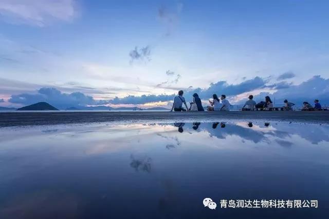 宽容，是世上最好的美德