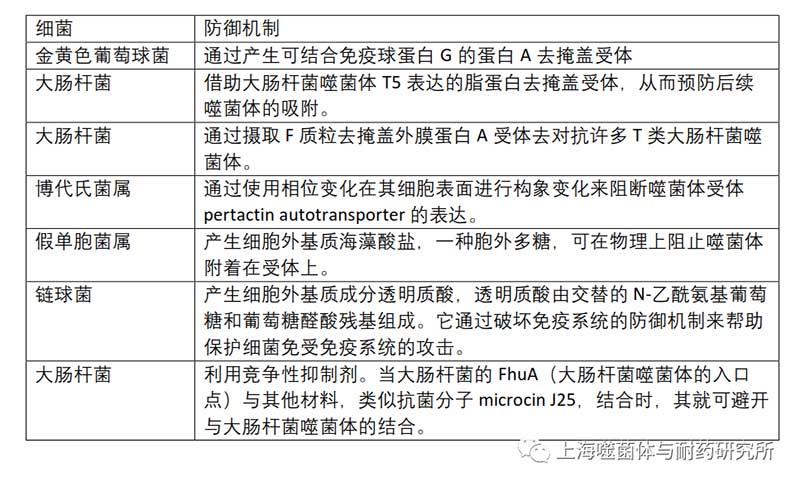 细菌防止噬菌体吸附  