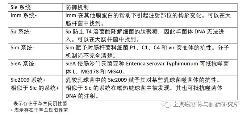超感染排除 (Sie) 系统抵抗噬菌体 DNA  