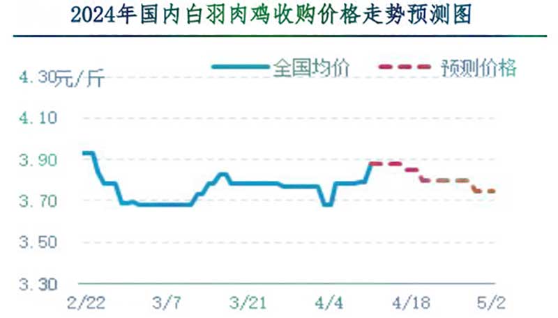 肉鸡市场下周行情预测 肉鸡市场下周行情预测