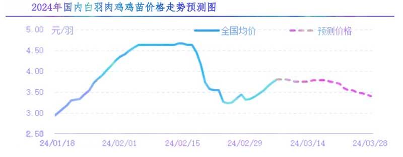 肉鸡市场下周行情预测