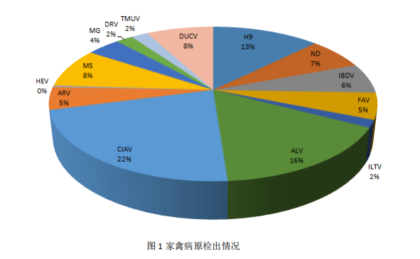 家禽病原检出情况