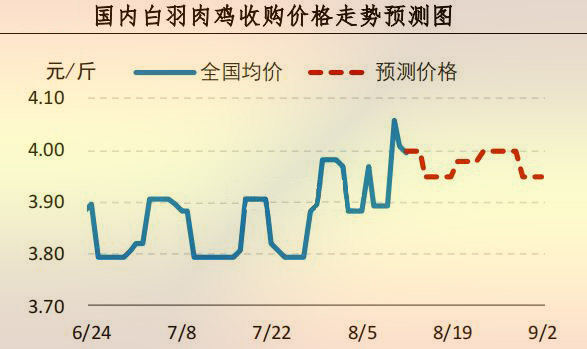 白羽肉鸡价格走势预测