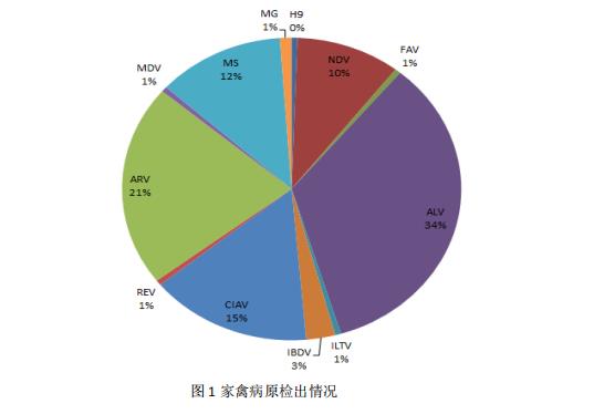 家禽病原检出情况