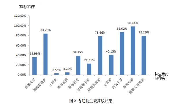 抗生素药敏结果