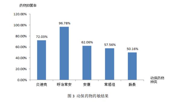 动物药敏结果