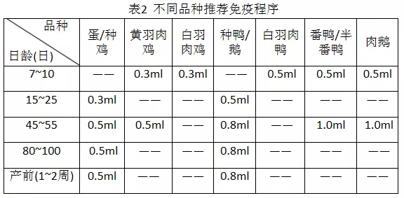 不同品种免疫程序参考