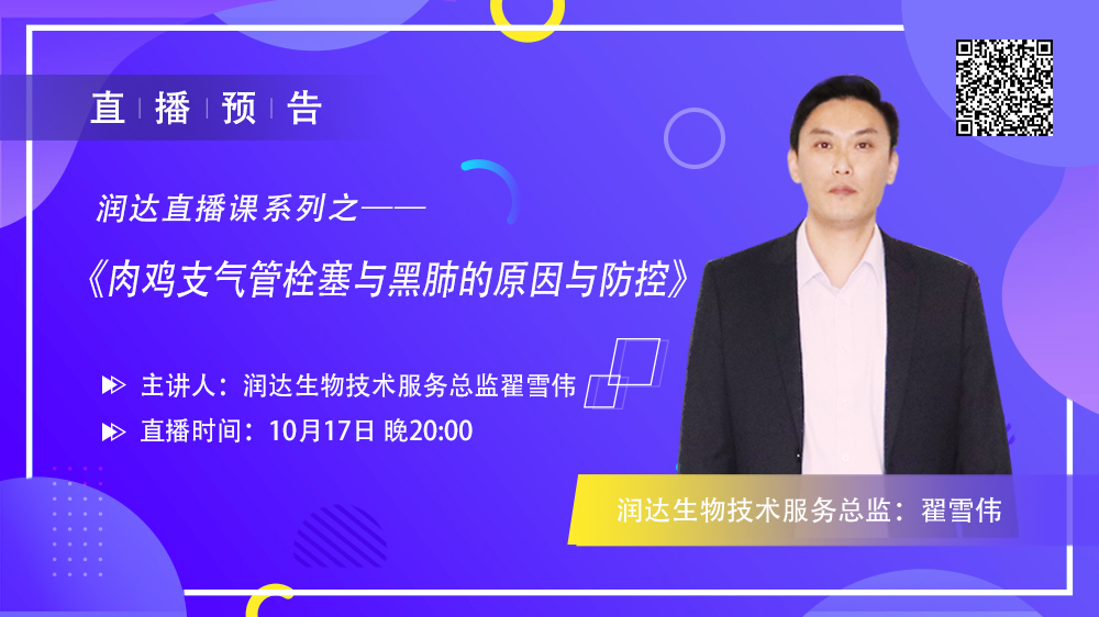 翟雪伟：肉鸡支气管栓塞与黑肺的原因与防控