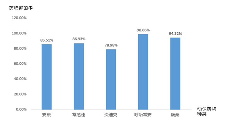 动保药物药敏结果